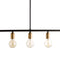 Black And Brass Industrial Five Bulb Bar Light Lighting Hill Interiors 