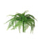 Fern Spray Boston Green Accessories Regency Studio 