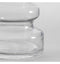 Karis Vase Clear Accessories Regency Studio 