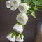 Large Classic White Spray Rose Accessories Hill Interiors 