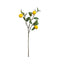 Lemon Stem with 3 Fruits Accessories Regency Studio 