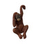 Luis Orangutan Pot Hanger (2pk) Accessories Regency Studio 