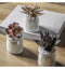 Potted Succulent Metallic Set of 3 Accessories Regency Studio 