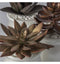 Potted Succulent Metallic Set of 3 Accessories Regency Studio 