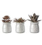 Potted Succulent Metallic Set of 3 Accessories Regency Studio 