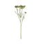 Queen Anne Lace Spray Green Accessories Regency Studio 