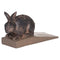 Rabbit Doorstop Accessories Hill Interiors 