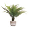 Stone Potted Boston Fern Potted Plants Hill-Interiors 