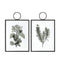 The Botanist Study I Hanging Art Set of 2 Accessories Regency Studio 