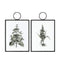 The Botanist Study II Hanging Art Set of 2 Accessories Regency Studio 