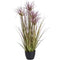 Water Bamboo Grass 24 Inch Accessories Hill Interiors 